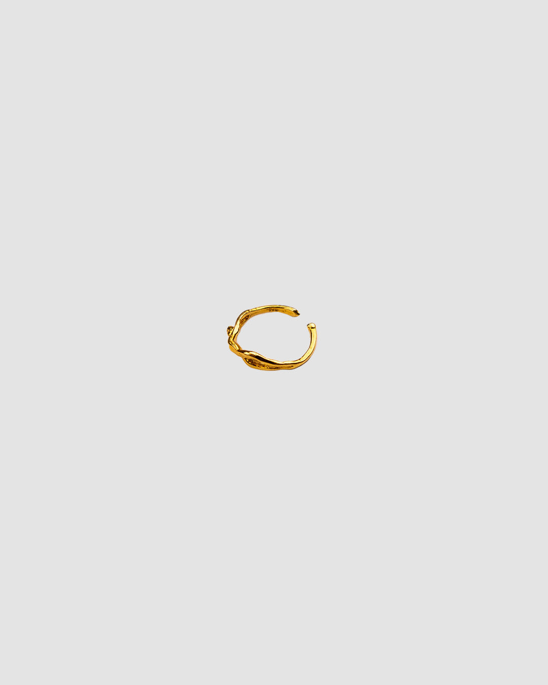 Anillo Persona