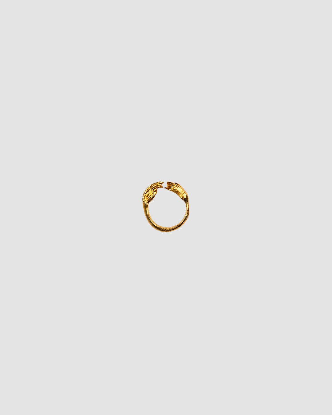 Anillo Unión