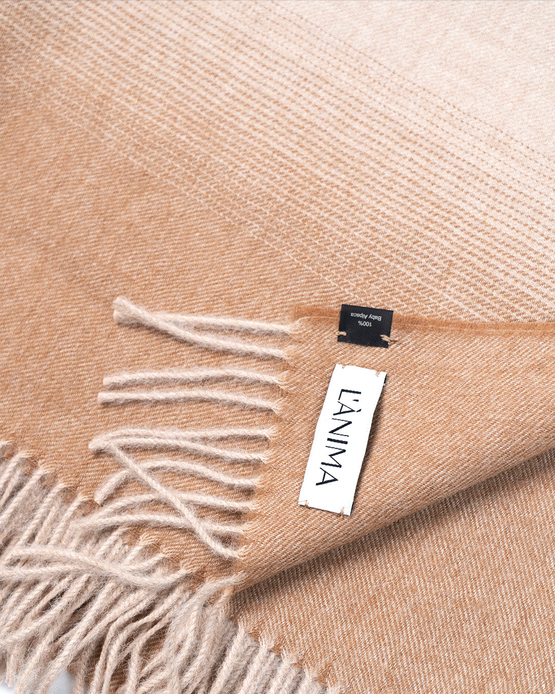 Pashmina Cinnamonn