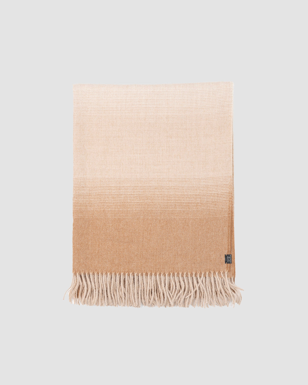 Pashmina Cinnamonn