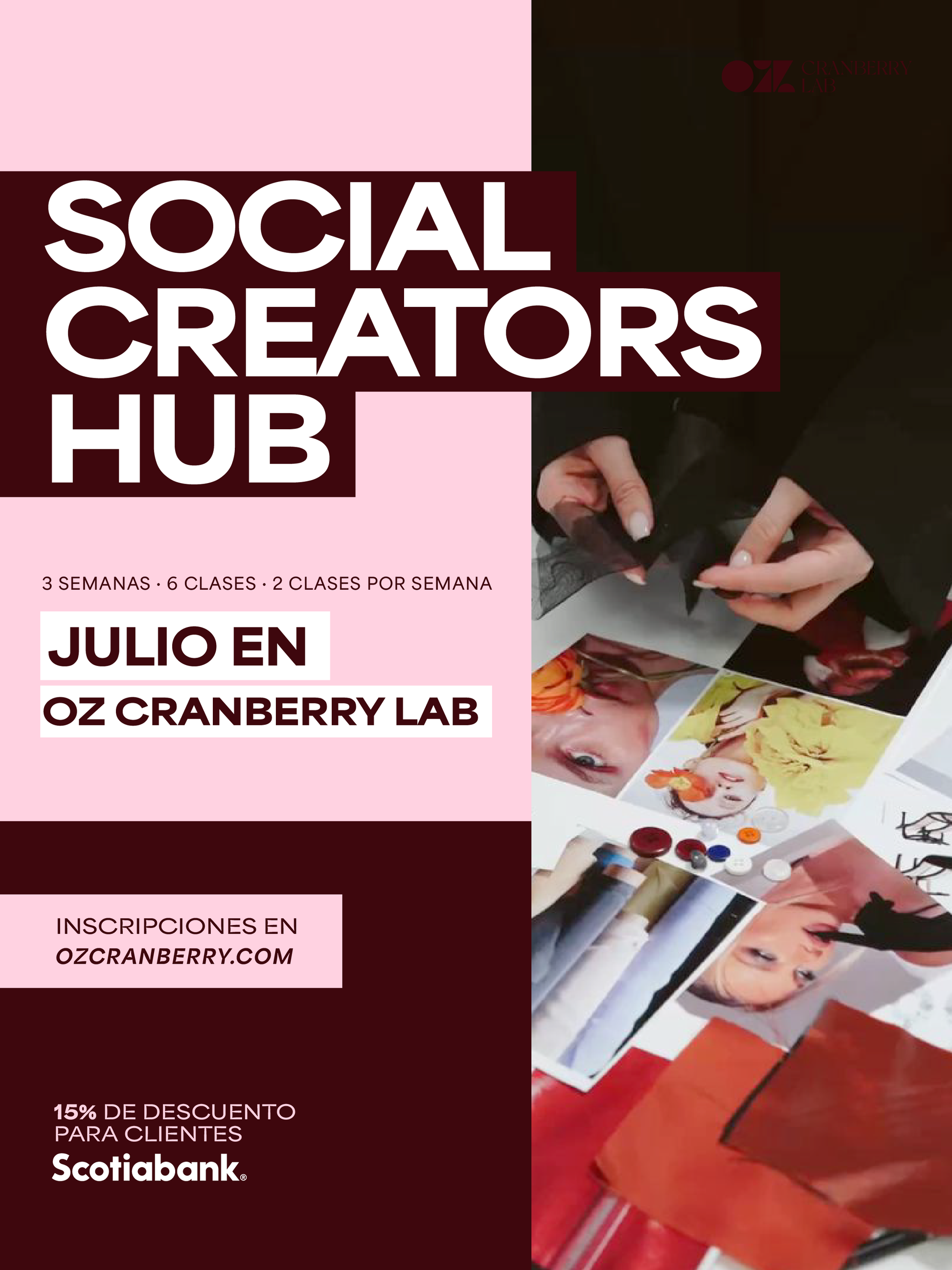 Social Creators Hub