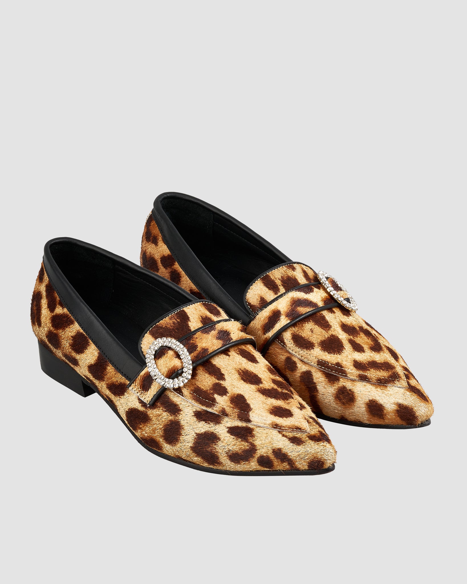 Zapato AA003 Animal Print